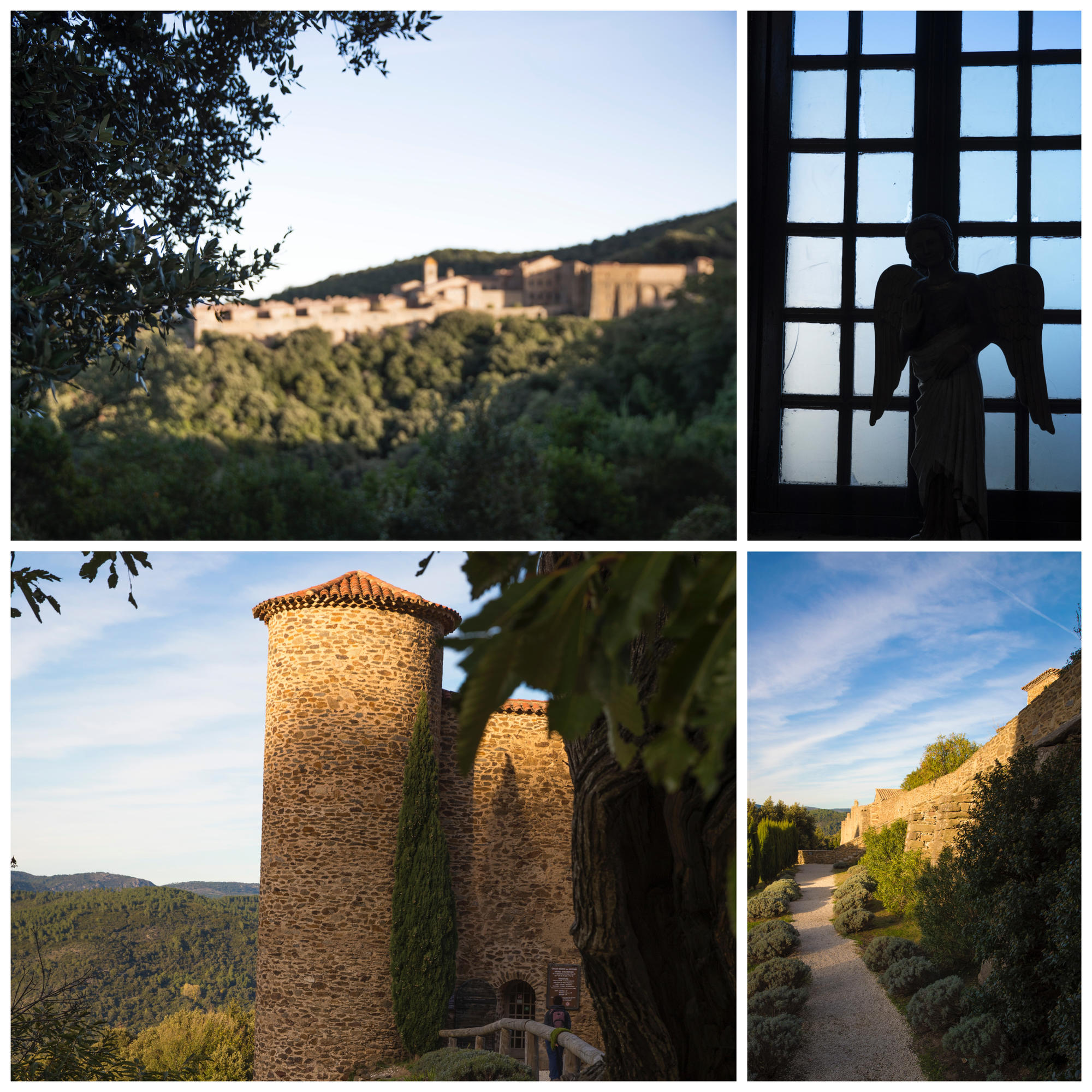 5-chartreusedelaverne