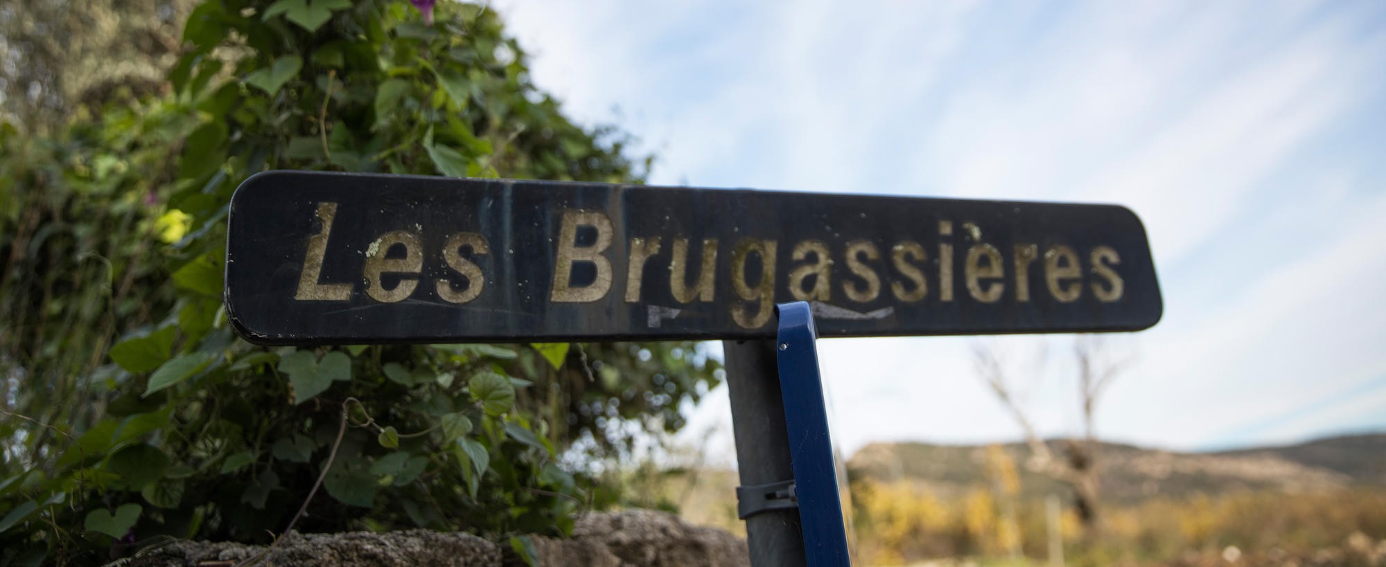 brugassieres